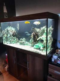 Jewel Rio 300 4ft Aquarium....£275