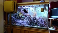 400 L reef tank + live rock + equipment