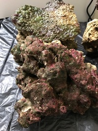 15kg of Mature Live Rock £50