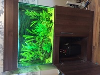 full aquarium set up for sale