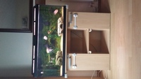 Full 180l Aquarium set up for sale incl fish