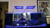 Two ATI Sirius X2 Led lights + fixtures