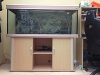 Aqua One 5ft tank with iquatics aqualumi lighting