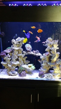 LT SL-A001-90 Marine Reef Aquarium LED Lighting  SOLD  