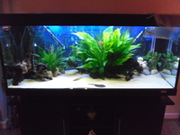 480 litre tank for sale