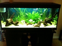 480 LITRE AQUARIUM FOR SALE £400 ONO