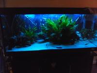 480 LITRE AQUARIUM FOR SALE £400 ONO