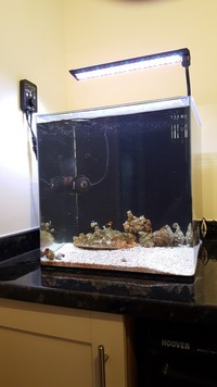 AquaNano 40 + Jebao Rw4 full setup