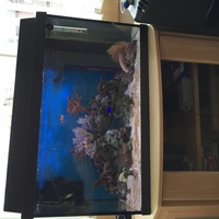 Complete nano marine tank