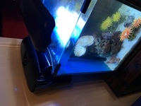 Nano tank