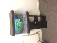 Interpet insight LED 64 fish tank full set up for sale