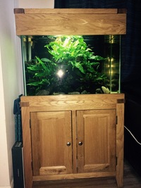 76cm Oak Tank