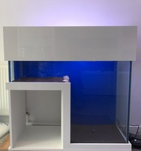 Custom Built Bespoke Aquarium - unique with a space for fridge / filter / other