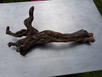 Bogwood