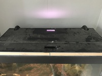 Fluval Roma 125 - £75