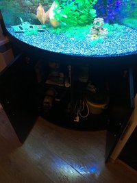 Juwel Tringo 190L Bowfront Aquarium Full Setup For Sale £195