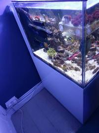 Aquarium Connections Marine Tank 750 litre, opti-white glass, rimless