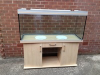 Rena aquariums for sale £300