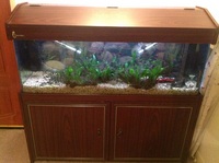 Large Clear Seal Acquarium plus equipment