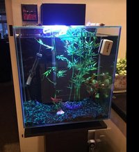 Fluval Edge 46 L