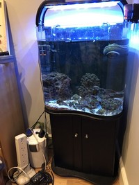 Live Marine Aquarium Fish Tank Complete Setup