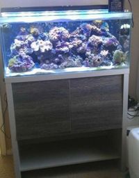 Marine Aquarium FOR SALE - Fluval M90