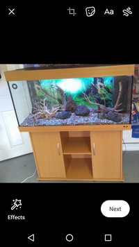 4ft jewel tank