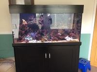 Complete marine tank