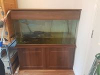 300L aquarium for fish or turts