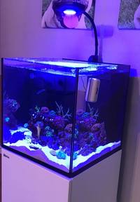 Red Sea Reefer Nano + Equipment