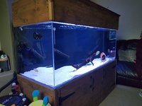 5x2x2 aquariums4life tank