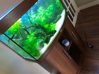 Juwel rio 180ltr fish tank for sale ..140.00 pounds