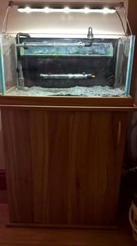 Custom 2ft x 1ft x 1ft Aquarium £165.00ovno