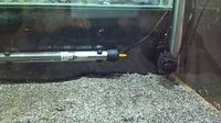 Custom 2ft x 1ft x 1ft Aquarium £165.00ovno