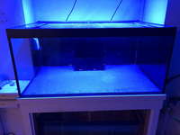 Marine/ Fresh Water Aquarium Fish tank with Weir and sump by ND Aquatics