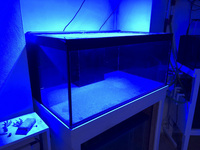 Marine/ Fresh Water Aquarium Fish tank with Weir and sump by ND Aquatics