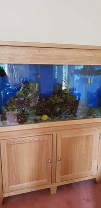 Marine aquarium