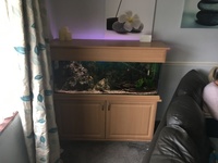 4ft tropical aquarium full set up