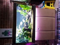 Complete setup Theiling 250 litre