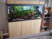 Fluval Roma 240L complete set-up £135