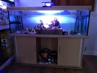 Aqua one 6x2x2 tank