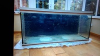 5ft Rena Fish tank & stand, Fluval Fx5, 2 x Arcadia T5 lights, Eheim pro 2224