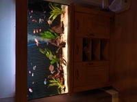 Aqua one oak style 230l tank