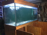 400L glass aquarium with solid wood cabinet and accessories £240.00 ono