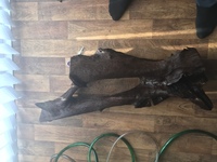 Big piece of bogwood lovely piece