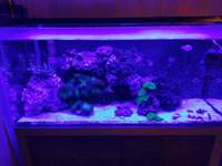 Fluval M90