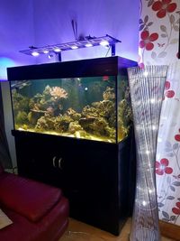 aqua one 400 marine fish tank aquarium