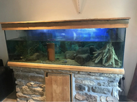 Large Fish Tank