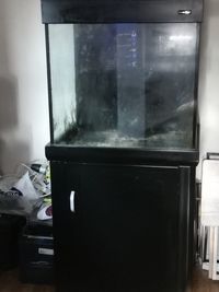 Aquarium and various equipment