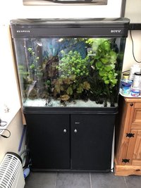 200 litre Fish Tank BARGAIN